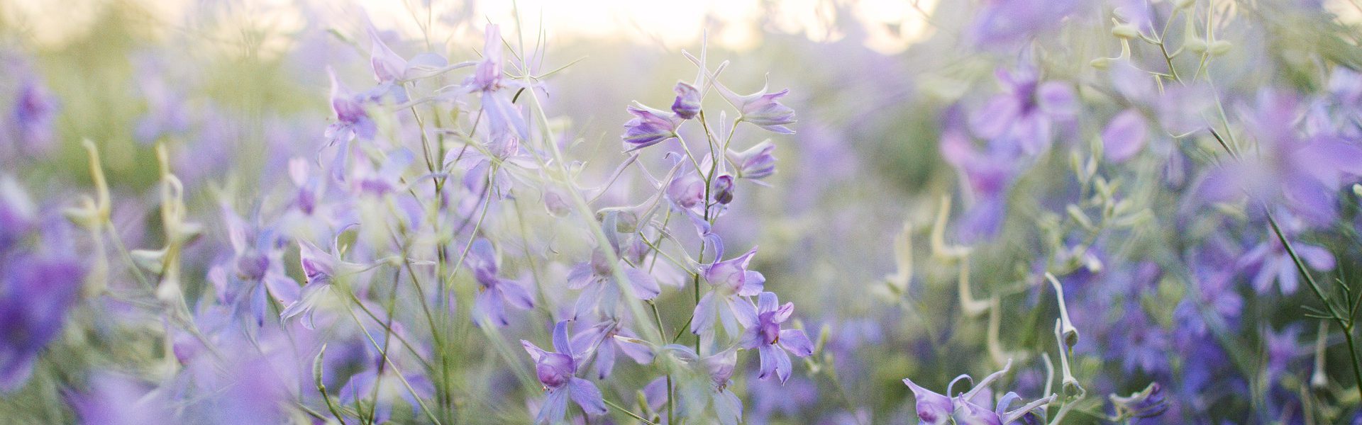 MadeByFem Creatief in Workshops