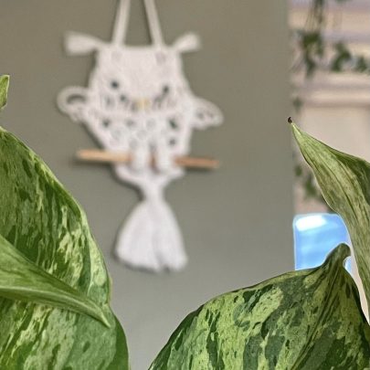 Workshop Macrame Creatief in Workshops MadeByFem Drenthe Friesland Groningen Flevoland Heerenveen-2